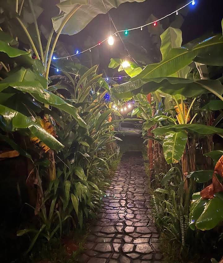 Sendero nocturno